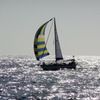 varuna81